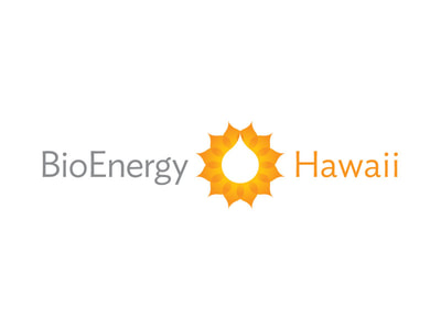 BioEnergy Hawaii logo design