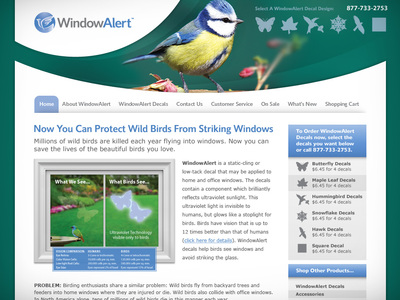 WindowAlert Website Design