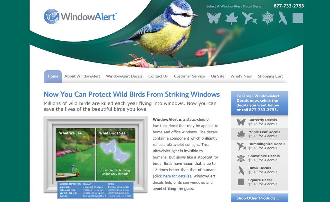 Window Alert Website Design