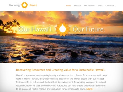 BioEnergy Hawaii Website Design