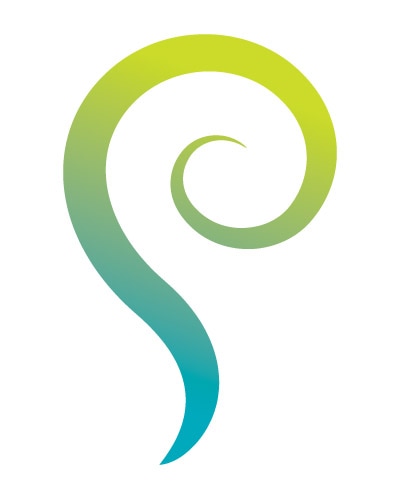 Pandeli Ventures Logo Mark