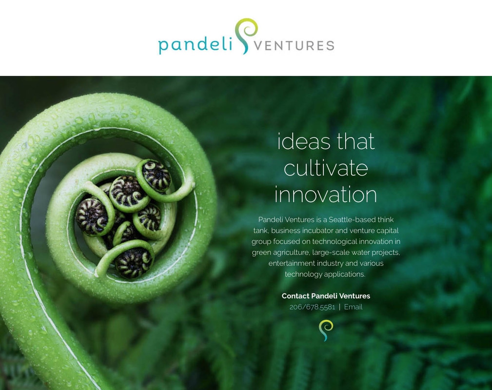 Pandeli Ventures Website Design