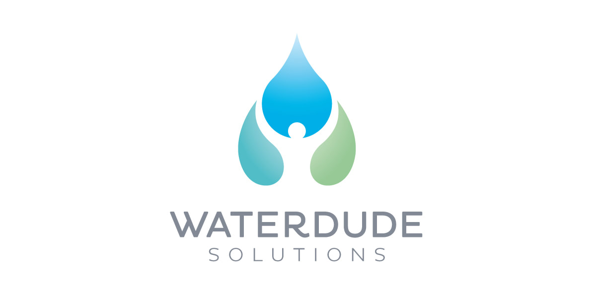 Waterdude Solutions logo design