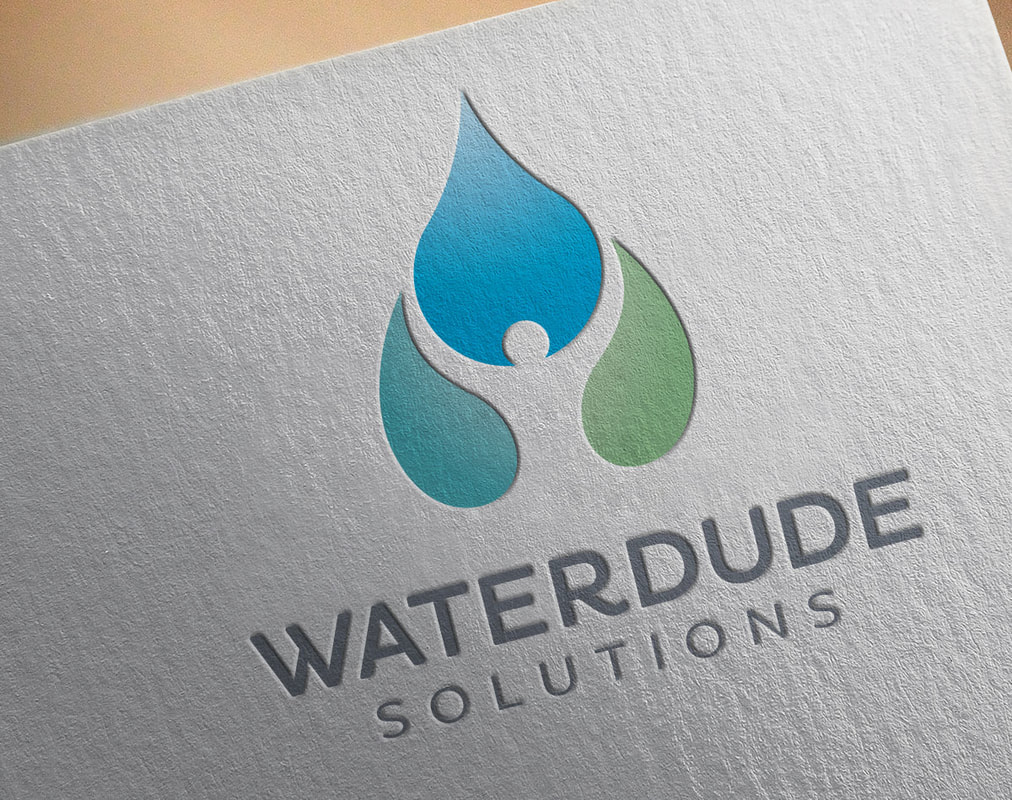Waterdude Solutions logo design on letterhead
